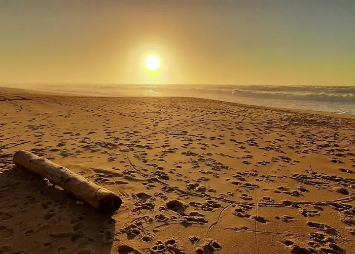 La Maison De Maritxu - Entre Et Foret - Landes - Pays Basque * Tarnos