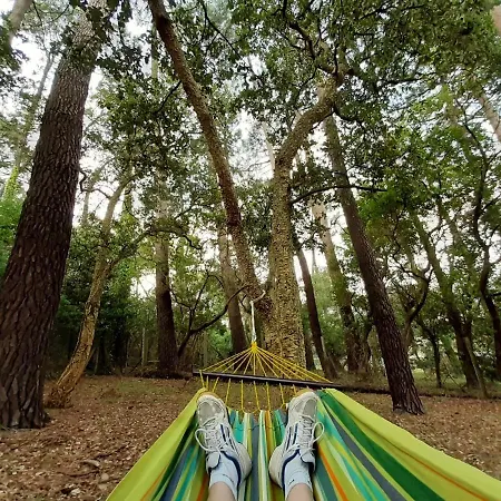 Дом отдыха La Maison De Maritxu - Entre Et Foret - Landes - Pays Basque Тарно