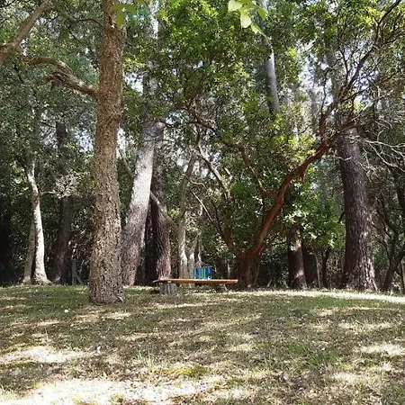 Дом отдыха La Maison De Maritxu - Entre Et Foret - Landes - Pays Basque *